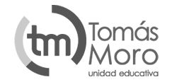 colegio tomas moro diseño web marketing digital mapuche chile