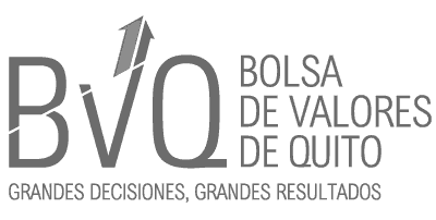 logoBVQ